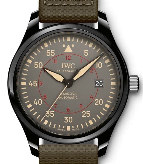 iwc top gun mark xviii.